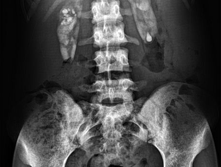 Everthing is alive. Alles lebt.