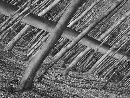 Verlust im Raum und von Raum